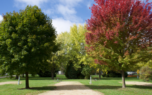 Back-in 50/30/20amp/wtr/sewer