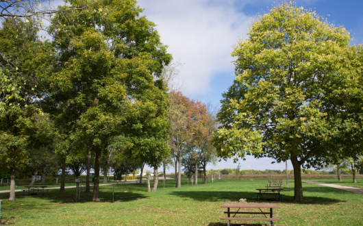 Back-in 30 amp/water