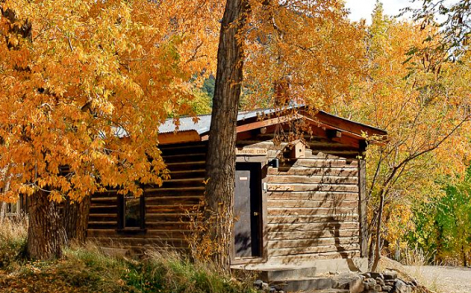 Large Cabins