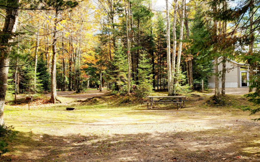 site