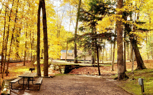 site
